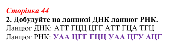 Відповідь до завдання 2 (с. 44) з біології для 9 класу, Тагліна 2026, робочий зошит: Типи РНК, синтез білка
