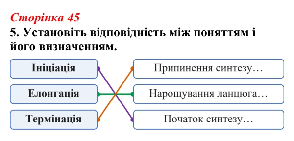 Відповідь до завдання 5 (с. 45) з біології для 9 класу, Тагліна 2026, робочий зошит: Типи РНК, синтез білка