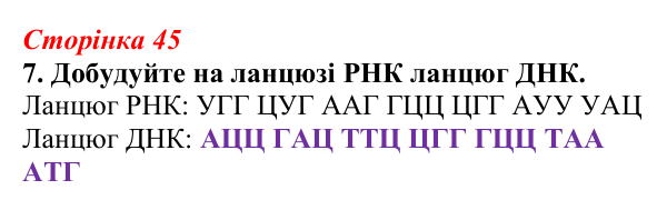 Відповідь до завдання 7 (с. 45) з біології для 9 класу, Тагліна 2026, робочий зошит: Типи РНК, синтез білка