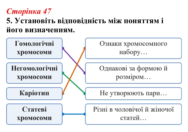 Відповідь до завдання 5 (с. 47) з біології для 9 класу, Тагліна 2026, робочий зошит: Будова хромосом, гомологічні...