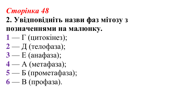 Відповідь до завдання 2 (с. 48) з біології для 9 класу, Тагліна 2026, робочий зошит: Життєвий цикл клітин, мітоз