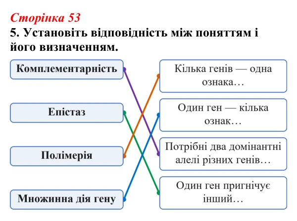 Відповідь до завдання 5 (с. 53) з біології для 9 класу, Тагліна 2026, робочий зошит: Успадкування, зчеплене зі статтю...