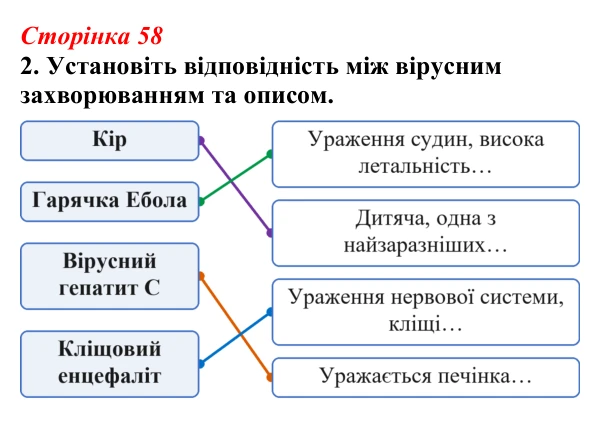 Відповідь до завдання 2 (с. 58) з біології для 9 класу, Тагліна 2026, робочий зошит: Віруси