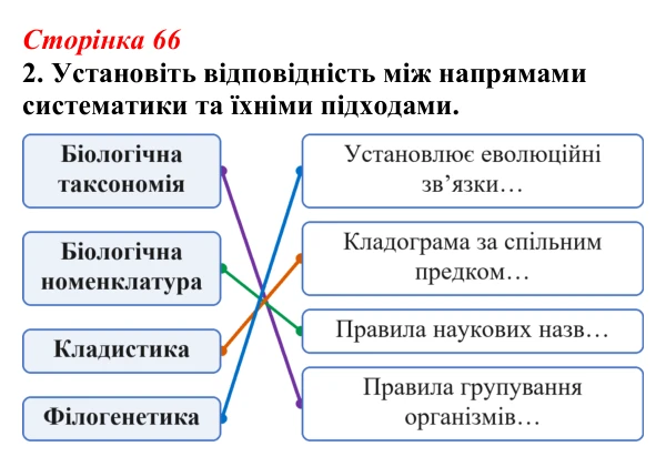 Відповідь до завдання 2 (с. 66) з біології для 9 класу, Тагліна 2026, робочий зошит: Біологічна систематика