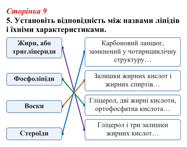 Відповідь до завдання 5 (с. 9) з біології для 9 класу, Тагліна 2026, робочий зошит: Структура та біологічна роль ліпідів