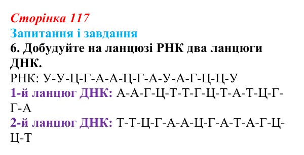 Відповідь до завдання 6 (с. 117) з біології для 9 класу, Тагліна 2026: Типи РНК, синтез білка
