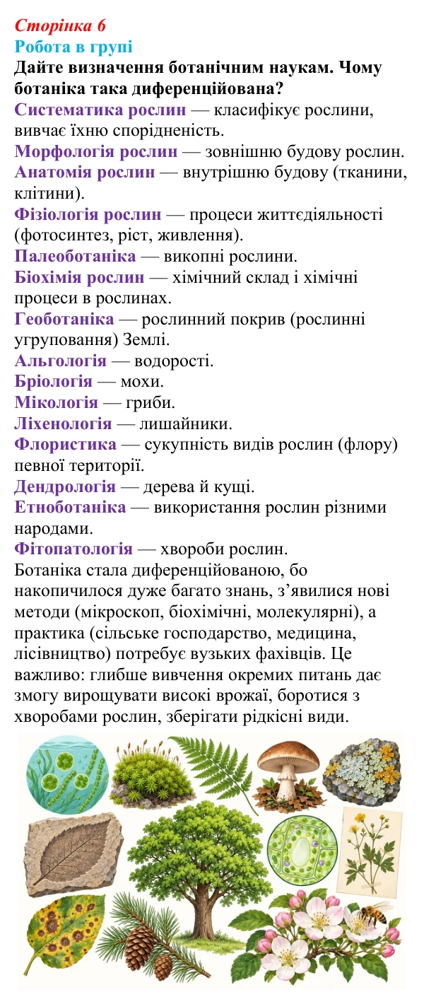Відповідь до роботи в групі (с. 6) з біології для 9 класу, Тагліна 2026: Основні галузі біології, рівні організації...