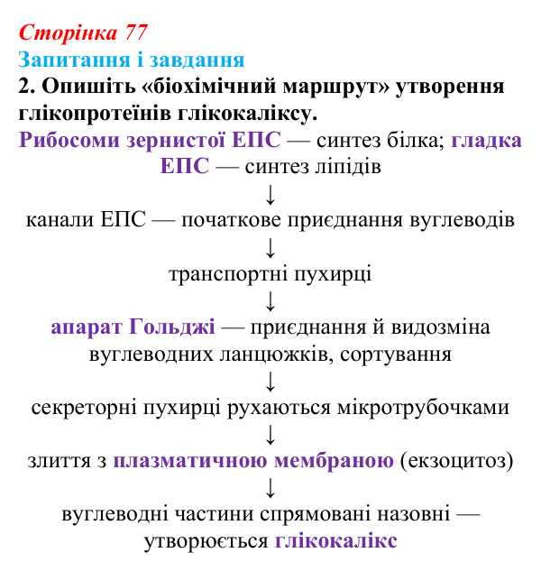 Відповідь до завдання 2 (с. 77) з біології для 9 класу, Тагліна 2026: Будова й функції ядра та одномембранних органел