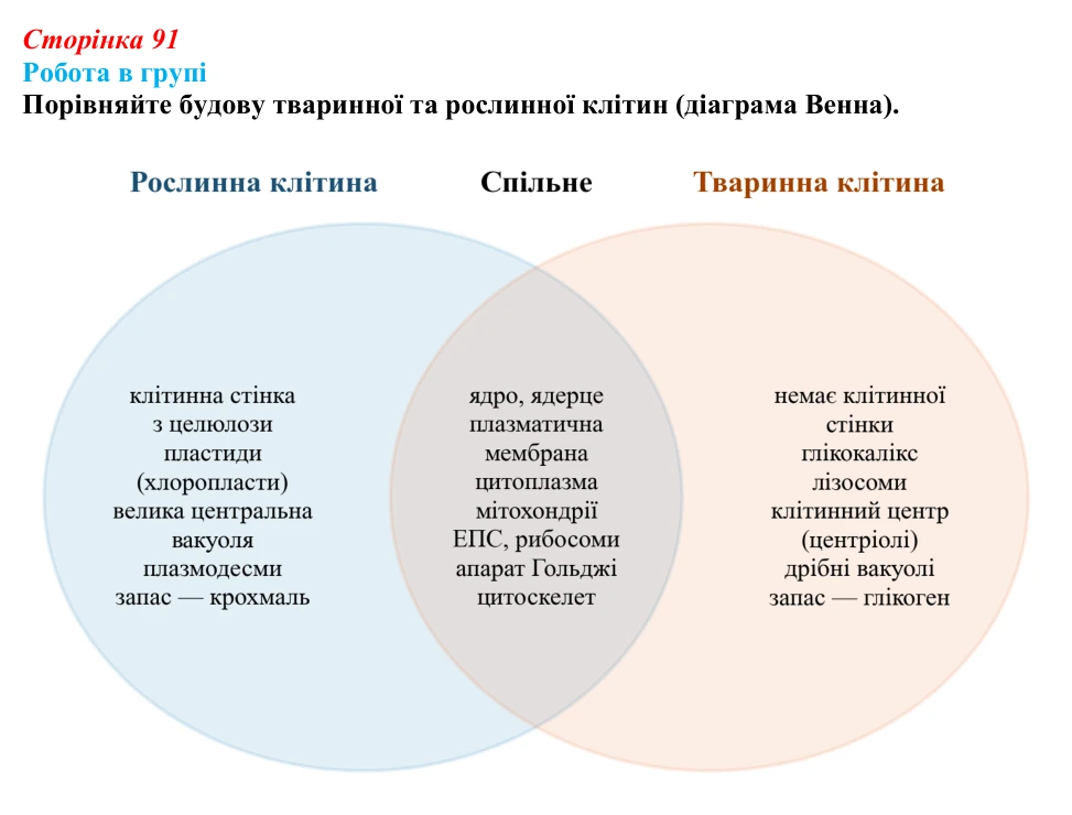 Відповідь до роботи в групі (с. 91) з біології для 9 класу, Тагліна 2026: Прокаріоти й евкаріоти, порівняння рослинної...