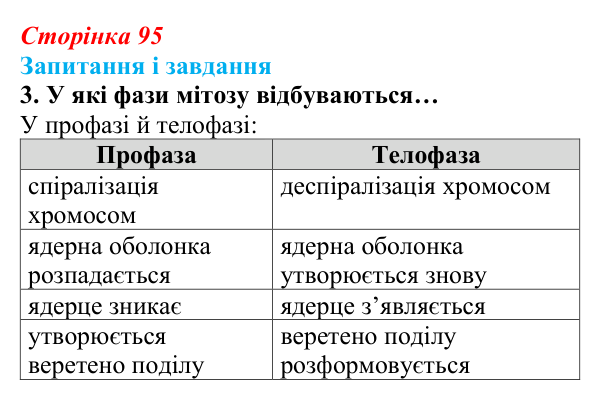 Відповідь до завдання 3 (с. 95) з біології для 9 класу, Задорожний 2026: § 21 Мітотичний поділ