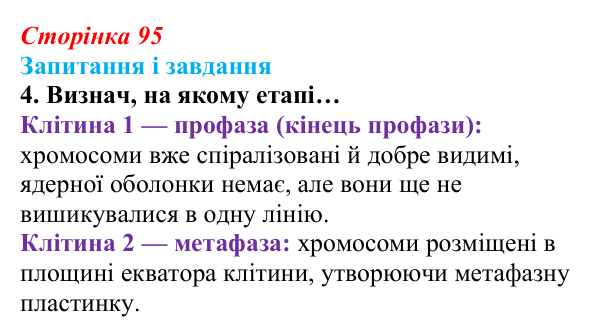 Відповідь до завдання 4 (с. 95) з біології для 9 класу, Задорожний 2026: § 21 Мітотичний поділ