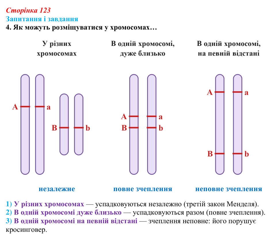 Відповідь до завдання 4 (с. 123) з біології для 9 класу, Задорожний 2026: § 27 Взаємодія алельних генів. Явище зчепленого...