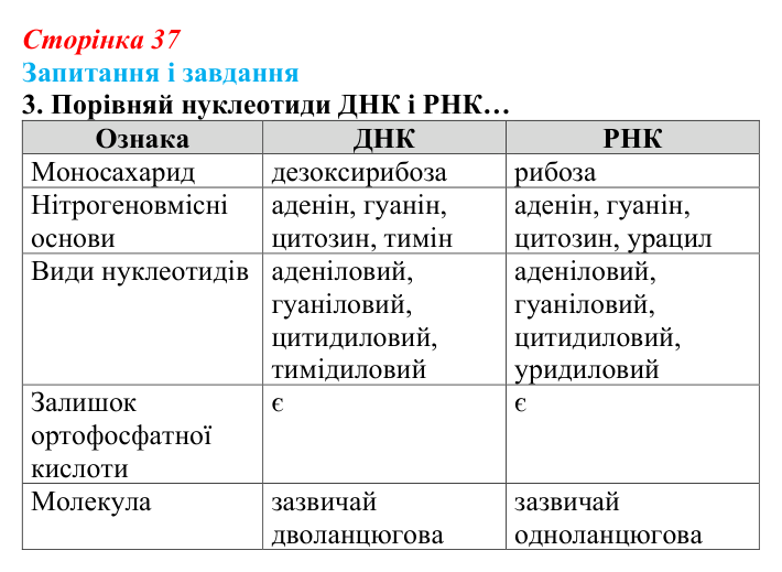 Відповідь до завдання 3 (с. 37) з біології для 9 класу, Задорожний 2026: § 8 Нуклеїнові кислоти