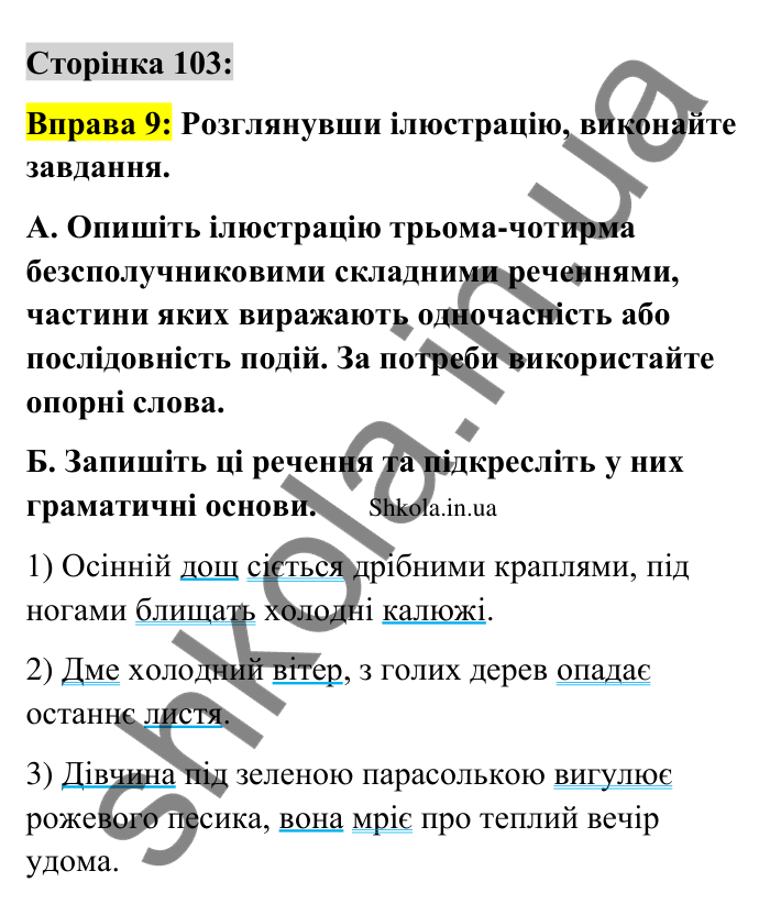 Відповідь до вправи 9 сторінка 103 ГДЗ Українська мова 9 клас Авраменко 2026